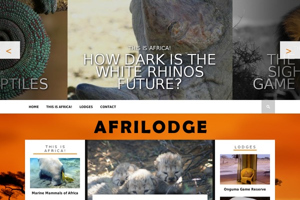 Braxton theme site design template sample
