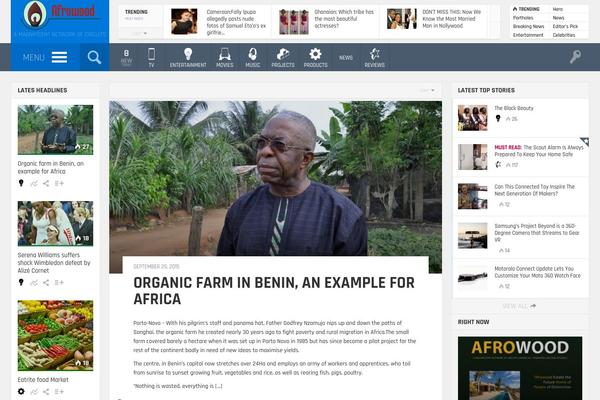 Site using Advanced-twitter-feed-integration plugin