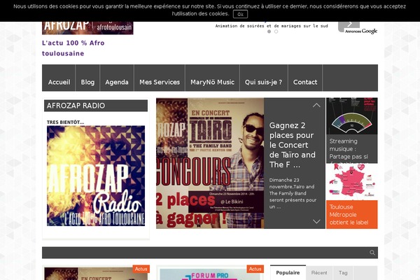 FlyingNews theme site design template sample