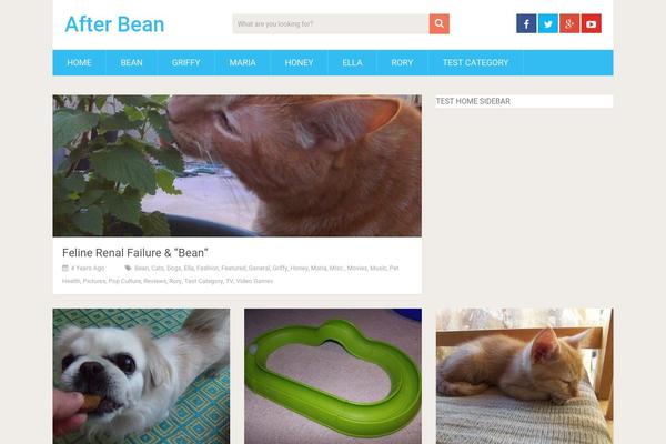 SociallyViral theme site design template sample