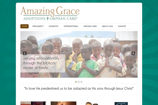 agadoptions.org site used Colorway Theme