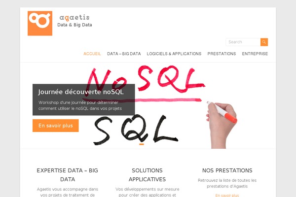 agaetis.fr site used Spacious Pro