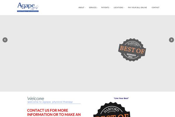 Chicago theme site design template sample