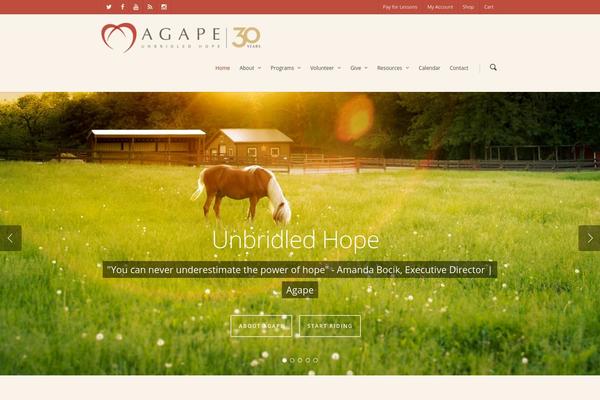 Site using All in One SEO Pack plugin