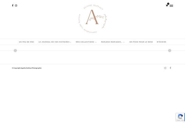 PhotoMe theme site design template sample