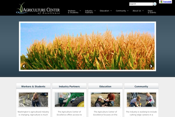 Complete theme site design template sample
