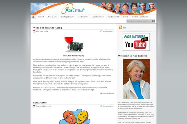 iNove theme site design template sample