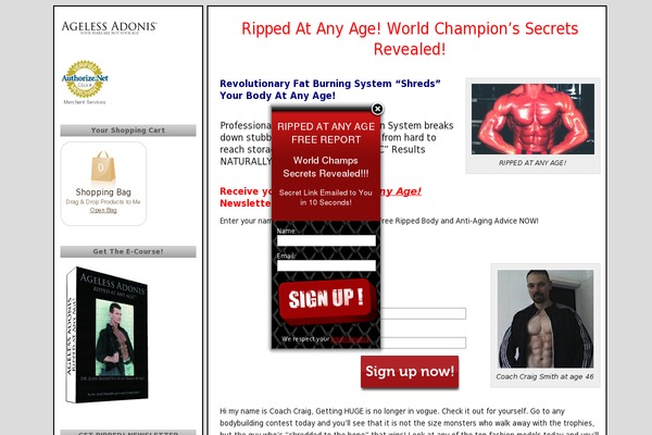 Thesis 1.8.4 theme site design template sample