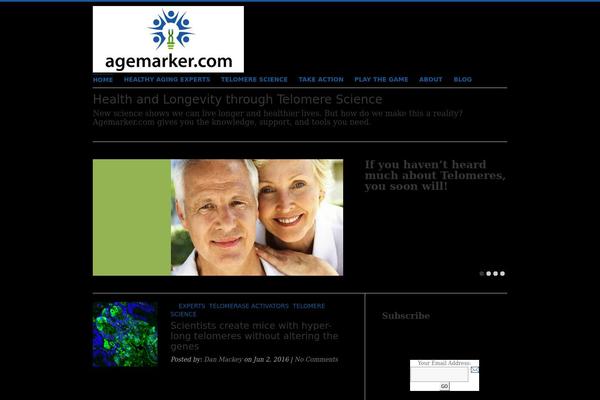 Pure theme site design template sample