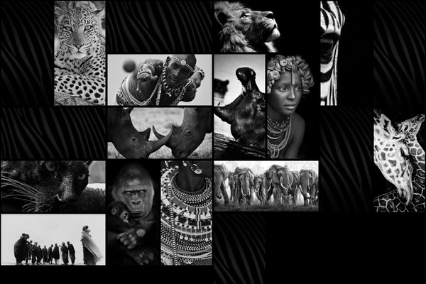 agence-massai.fr site used James
