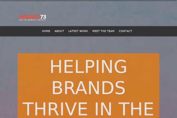 Nash theme site design template sample