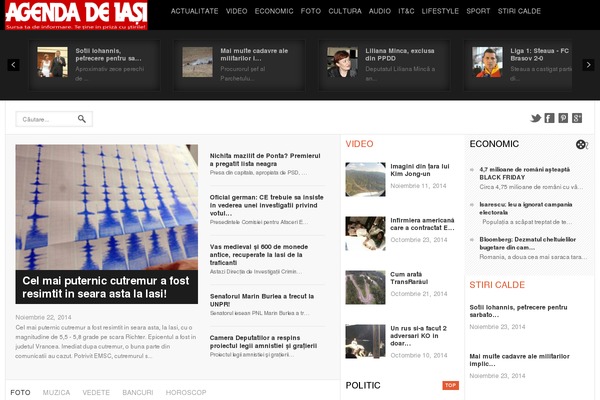 The Fox theme site design template sample