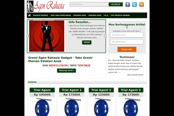 Bisnis theme site design template sample