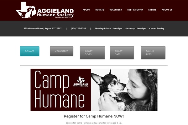 Site using WP Accessibility plugin