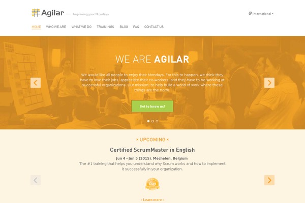 Serena theme site design template sample