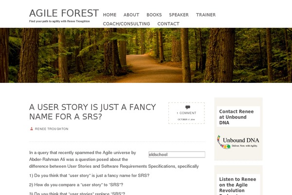 Pinbin theme site design template sample