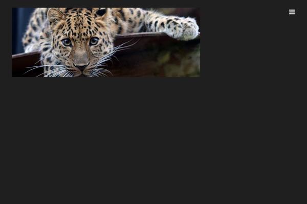 BIG PIX theme site design template sample