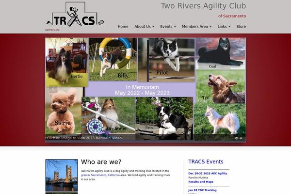 Striking theme site design template sample