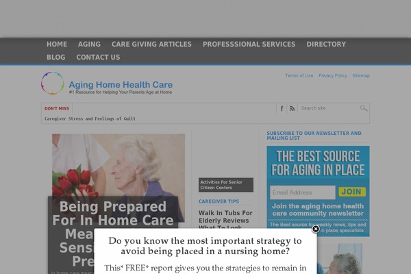 Max Mag theme site design template sample