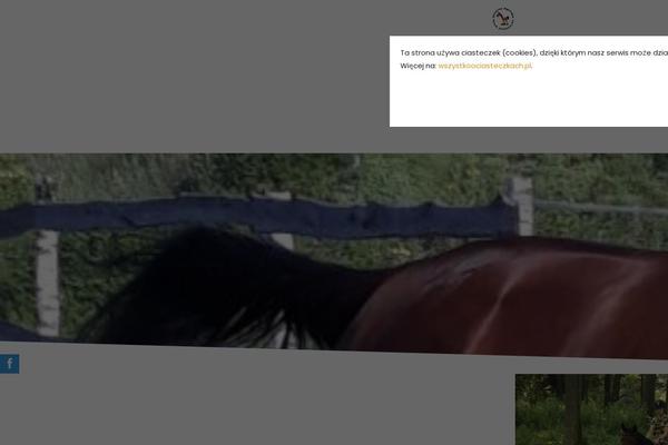 Site using PureTheme Slide Social Tabs plugin
