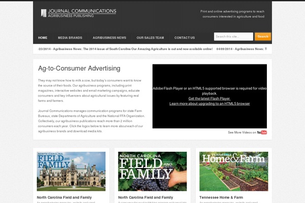 Confidence theme site design template sample