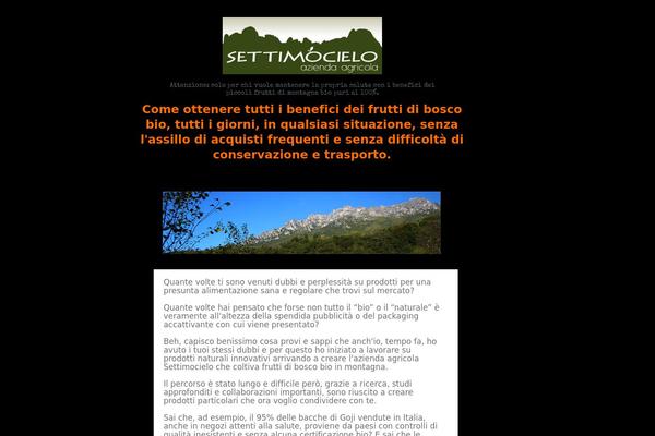 Storefront theme site design template sample