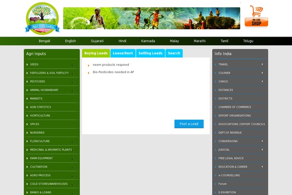 WordPress website example screenshot