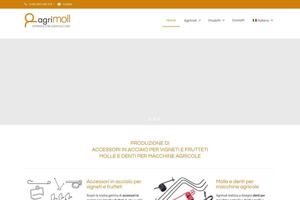 Envision theme site design template sample