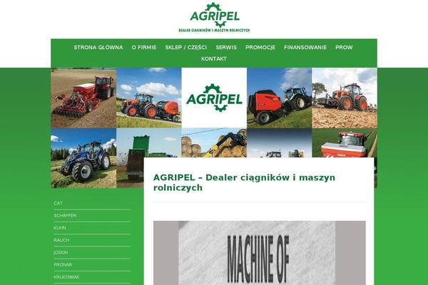Chicago theme site design template sample