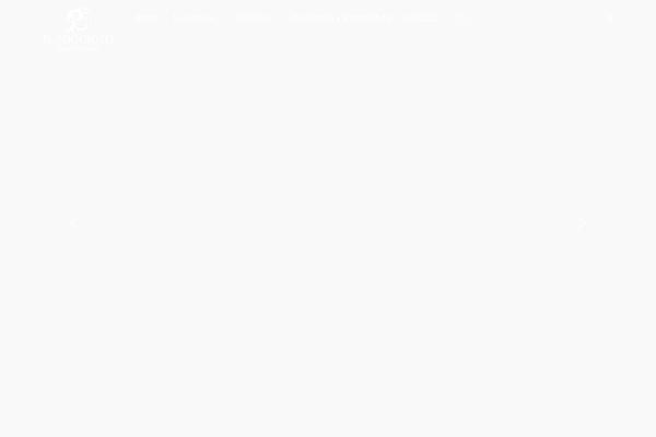 Site using Hoteller-elementor plugin