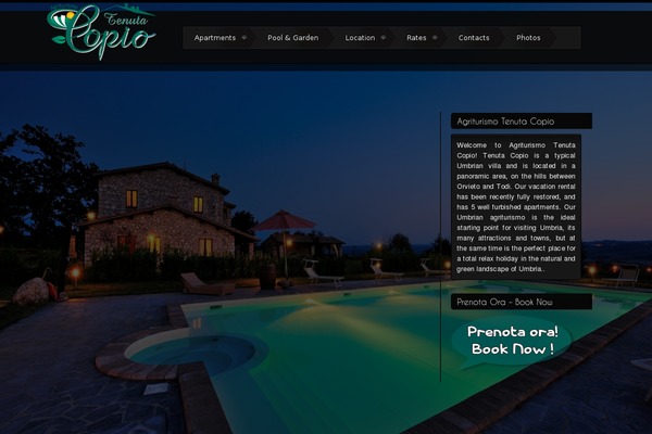 Storm theme site design template sample