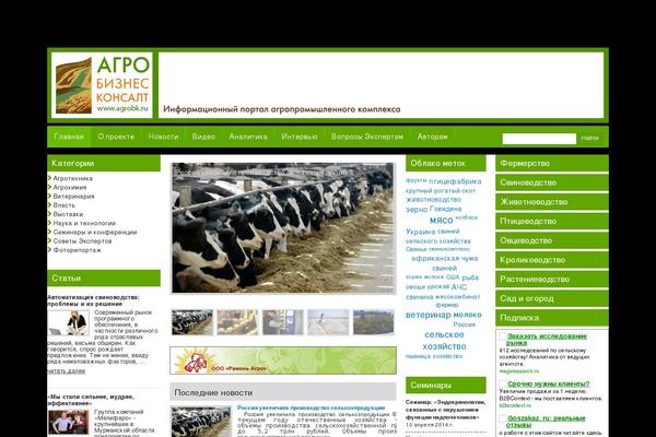 City News theme site design template sample