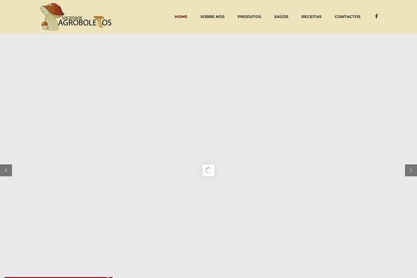 Constructo-child-theme theme site design template sample