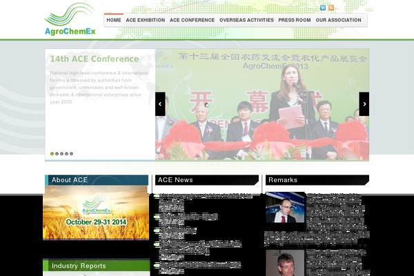 Ace theme site design template sample