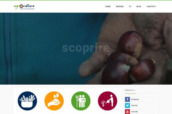 Site using Bluwidgets plugin