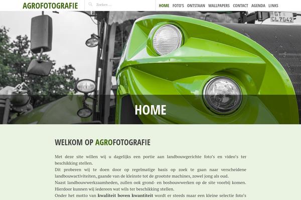 Pictorico theme site design template sample