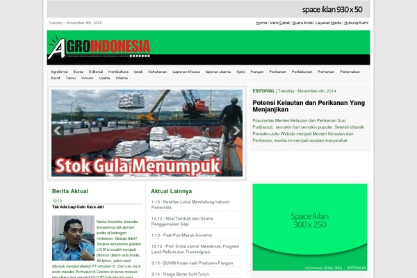 Site using Ultimate Ads Manager plugin