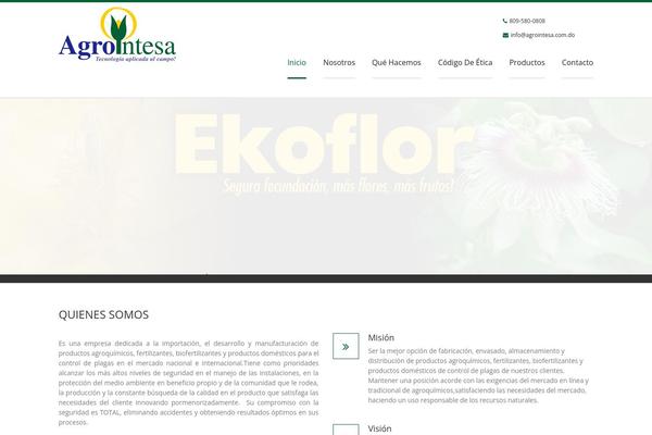 Magnis theme site design template sample
