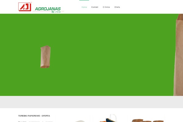 Company theme site design template sample