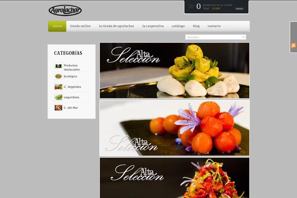Mazine theme site design template sample