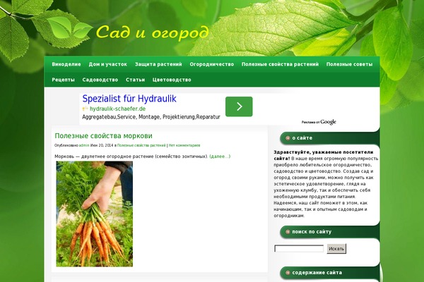 Site using Lets-live-blog plugin