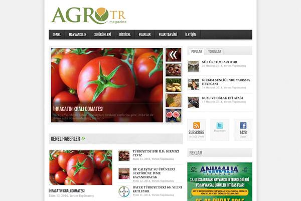 avenue theme site design template sample
