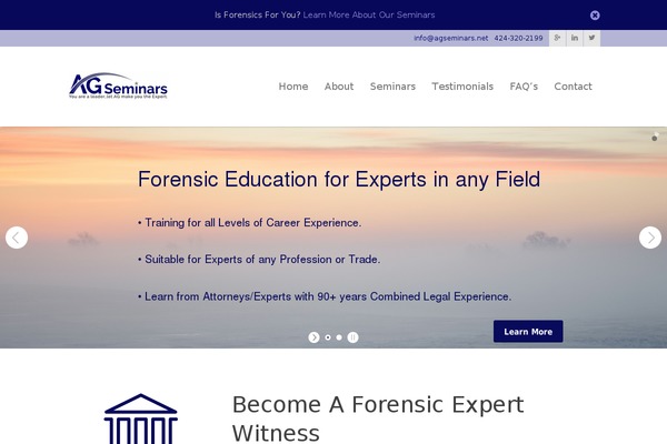 Metrolium theme site design template sample