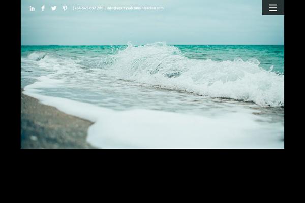 Bigwig theme site design template sample