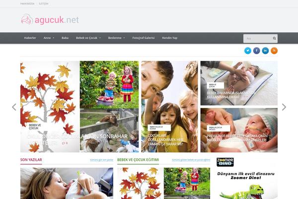 Site using Quform plugin