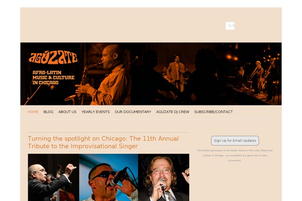 Attitude Pro theme site design template sample