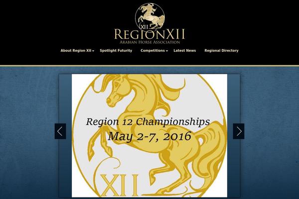 aharegion12.com site used Region