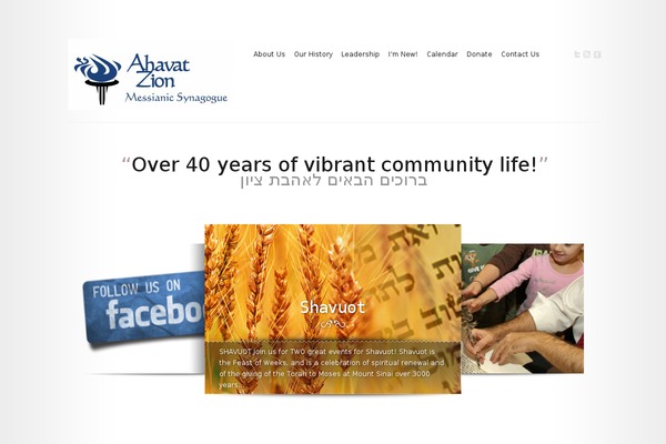 Modest theme site design template sample