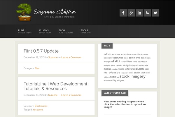 genesis-flint theme websites examples