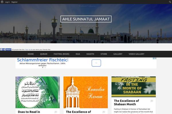 Site using YouTube Simple Gallery plugin